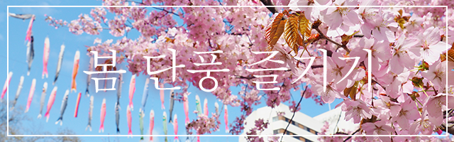 春紅葉を楽しむ