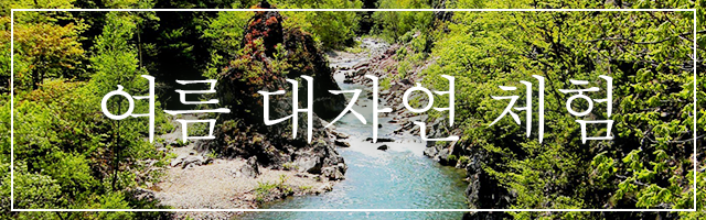 夏の大自然を体感