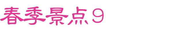 春のおすすめスポット　その9