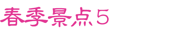 春のおすすめスポット　その5