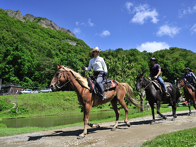 ワイルドムスタングス