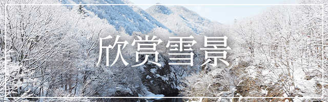 雪景色を楽しむ