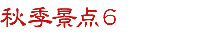 秋スポット　その6