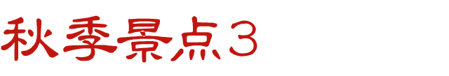 秋スポット　その3