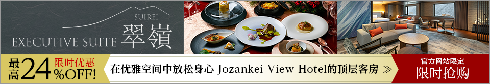 EXECUTIVE SUITE SUIREI