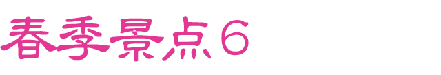 春のおすすめスポット　その6