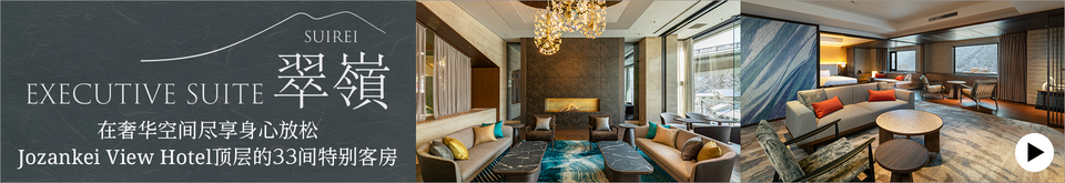 EXECUTIVE SUITE SUIREI