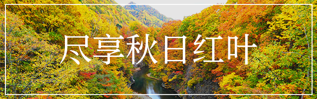 秋の紅葉を満喫