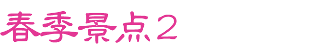 春のおすすめスポット　その2