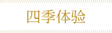 体验四季