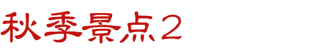 秋スポット　その2