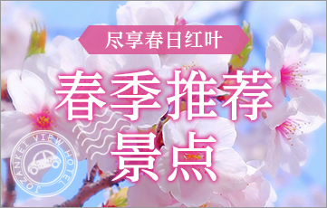 欣赏春天红叶的定山溪周边春天的推荐景点