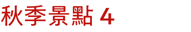 秋スポット　その4