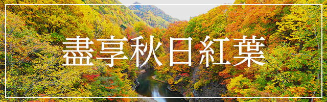 秋の紅葉を満喫