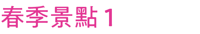 春のおすすめスポット その1