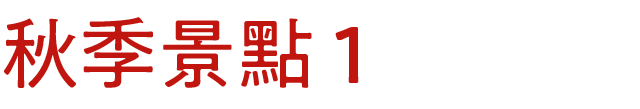 秋スポット　その1