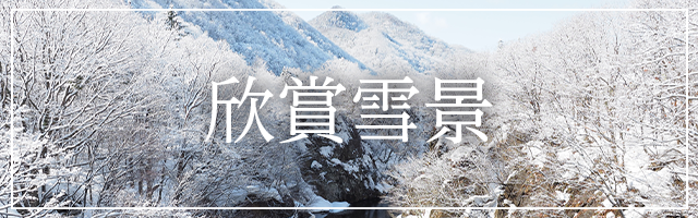 雪景色を楽しむ