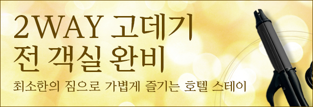 2WAY 헤어 다리미 전 객실 완비