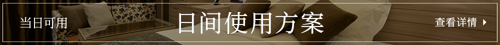 日间使用