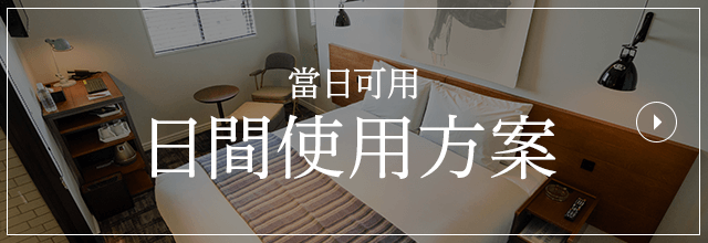 日間使用
