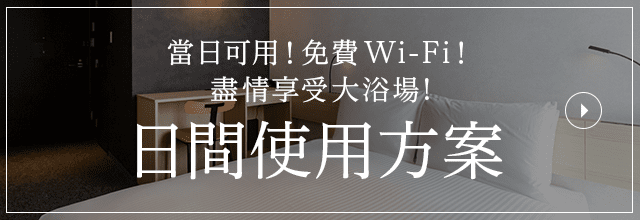 日間使用