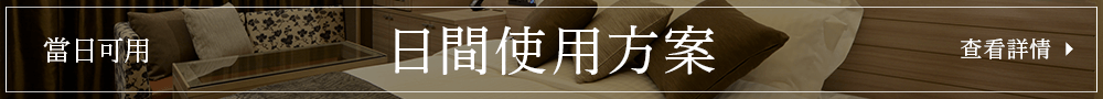 日間使用