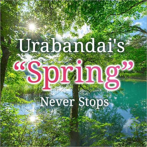 Spring in Urabandai never stops