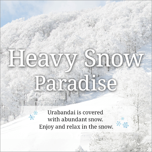 Heavy Snow Paradise