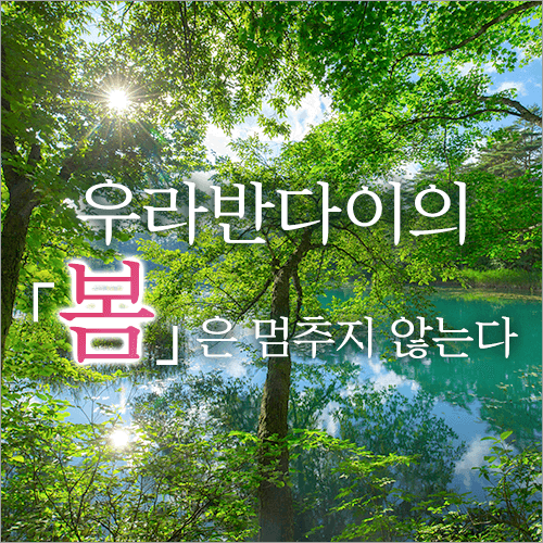 우라반다이 봄은 멈추지 않는다