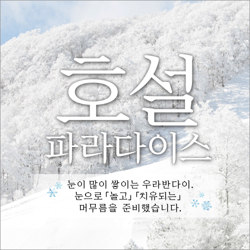 호설 파라다이스