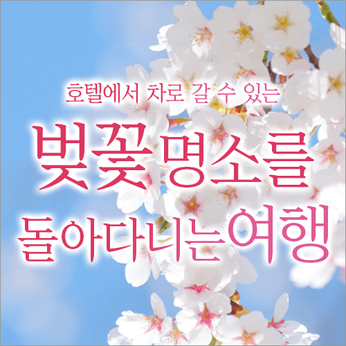 벚꽃의 명소를 둘러싼 여행