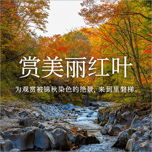 欣赏美丽的红叶