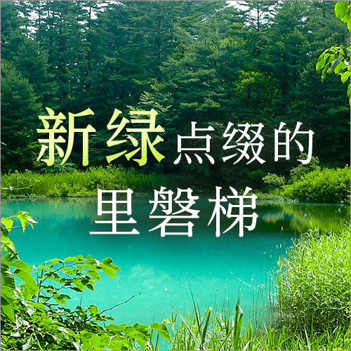 里磐梯装饰着新鲜的绿植。