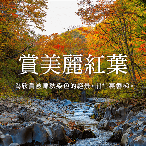 欣賞美麗的紅葉