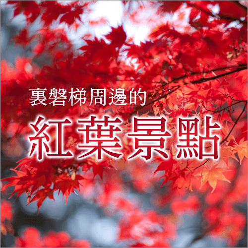 裏磐梯萬代週邊賞秋景點
