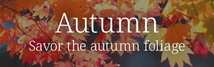 Enjoy the autumn foliage