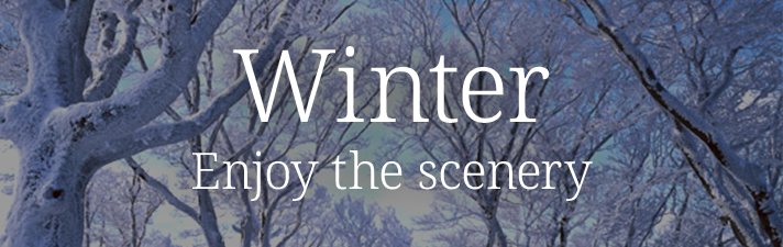 Enjoying the winter scenery