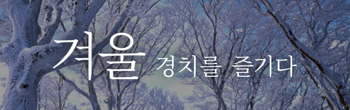 겨울 풍경을 즐기십시오.