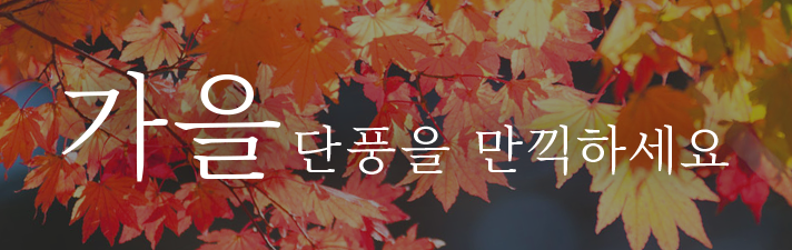 가을 단풍을 만끽