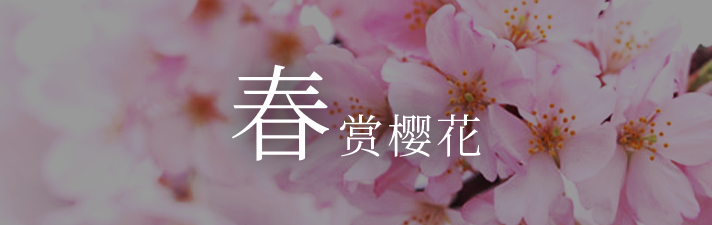 享受春天的赏花
