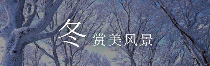 欣赏冬季景色