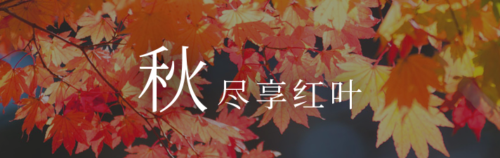 尽享秋天的红叶