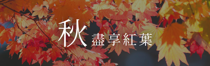 盡享秋天的紅葉
