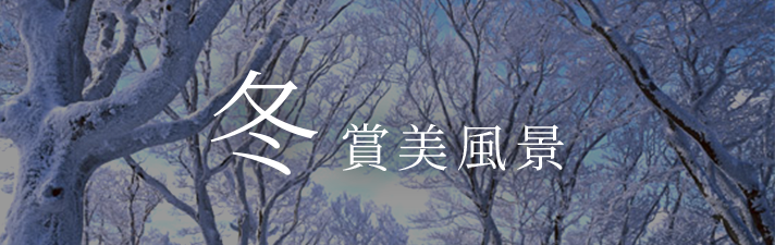 欣賞冬季景色