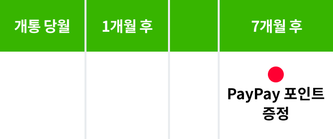 7개월 후 PayPay Points 선물