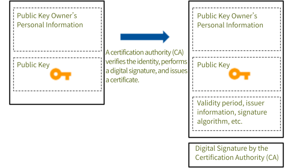 Issuance of public key digital certificates
