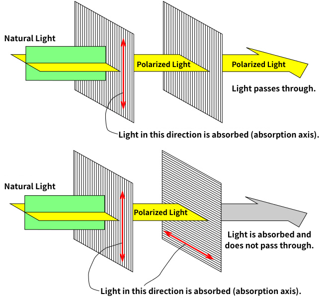 Figure 4. Principle of polarizing plates