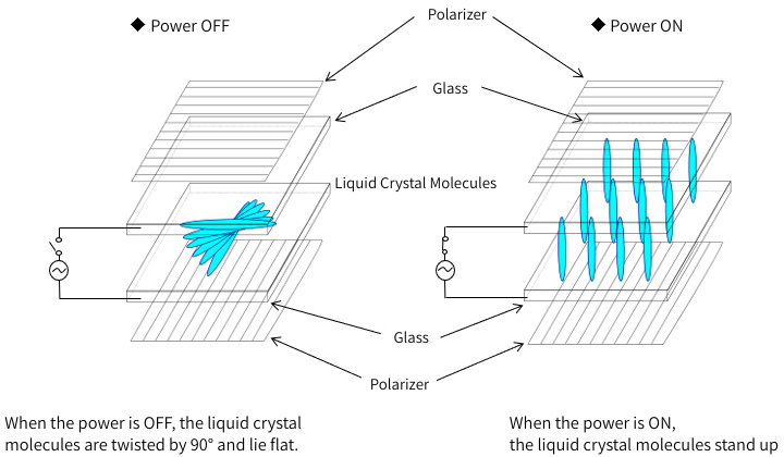 Figure 1. Behavior of liquid crystal molecules