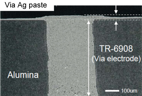 Struktur der Silberpaste (Ag-Paste)