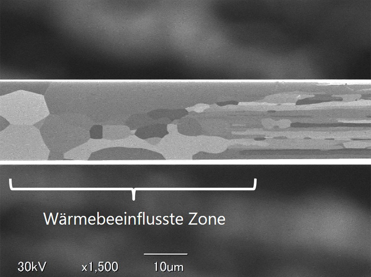 Detaillierter Querschnitt von Pt